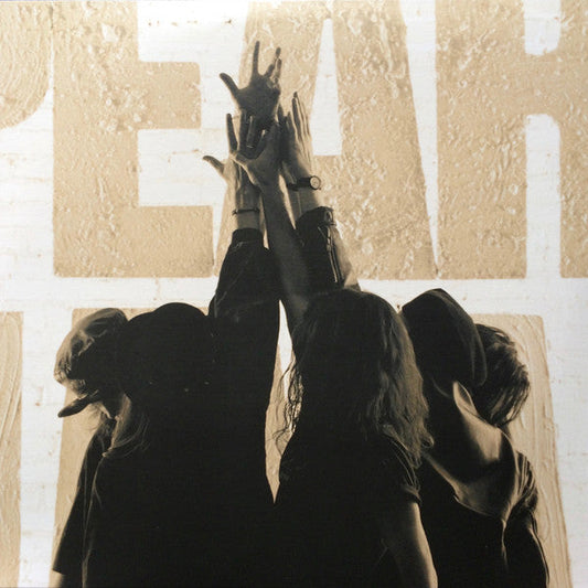 Imagen de la portada del disco Ten del artista Pearl Jam