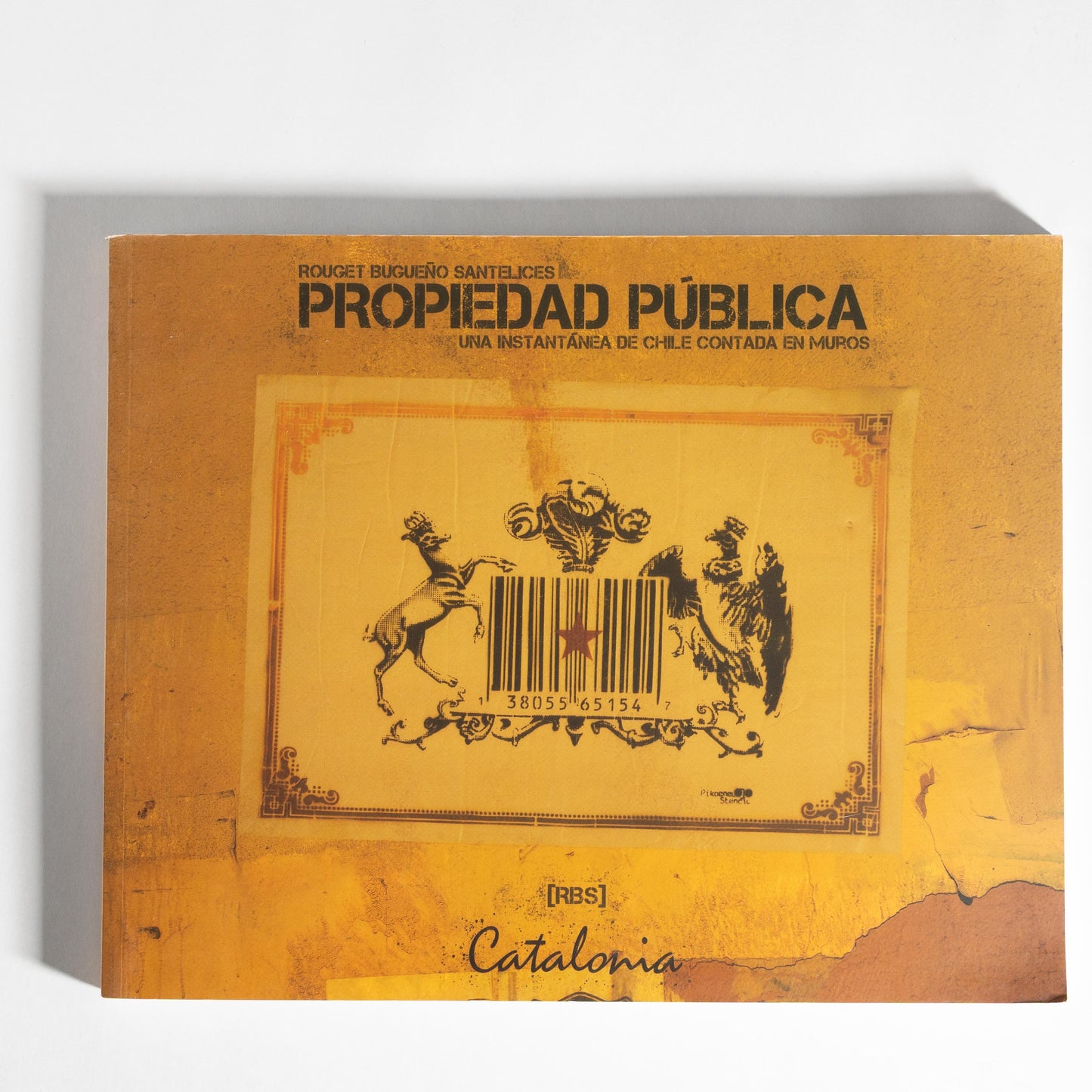Propiedad Pública - Rouget Bugueño Santelices [Libro]