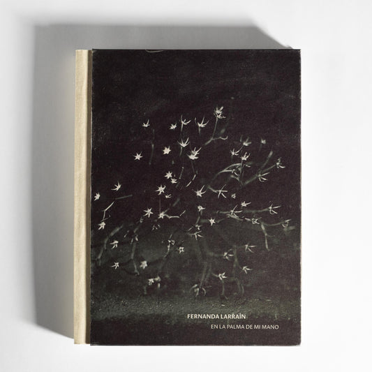 En La Palma de Mi Mano - Fernanda Larraín [Libro]