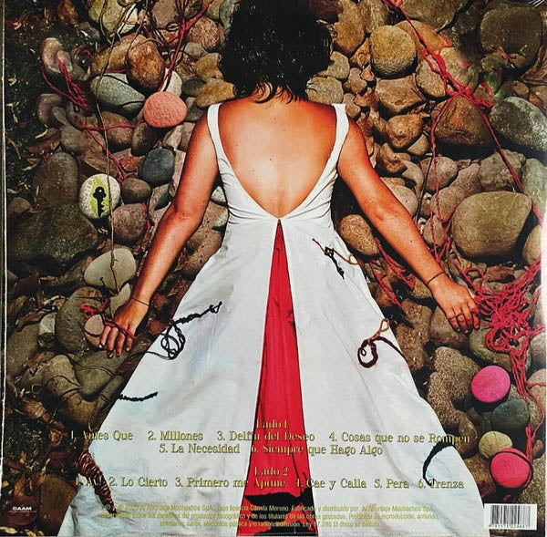 Imagen de la portada del disco Almismotiempo del artista Camila Moreno