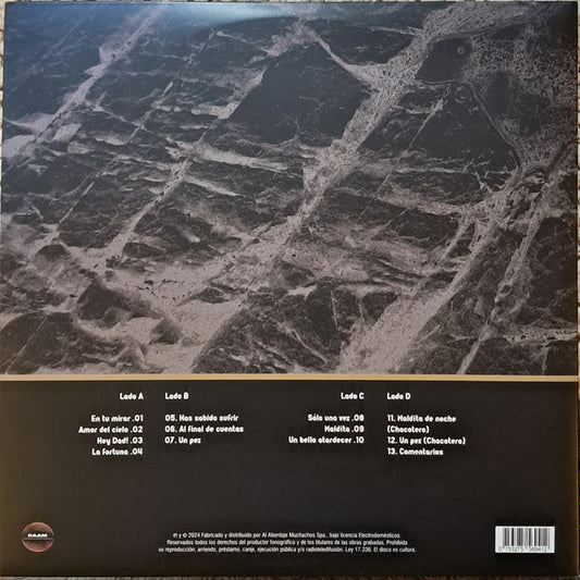 Electrodomésticos - La Nueva Canción Chilena [LP]